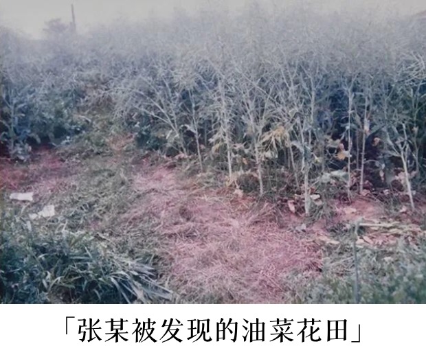 张某被发现的油菜花田